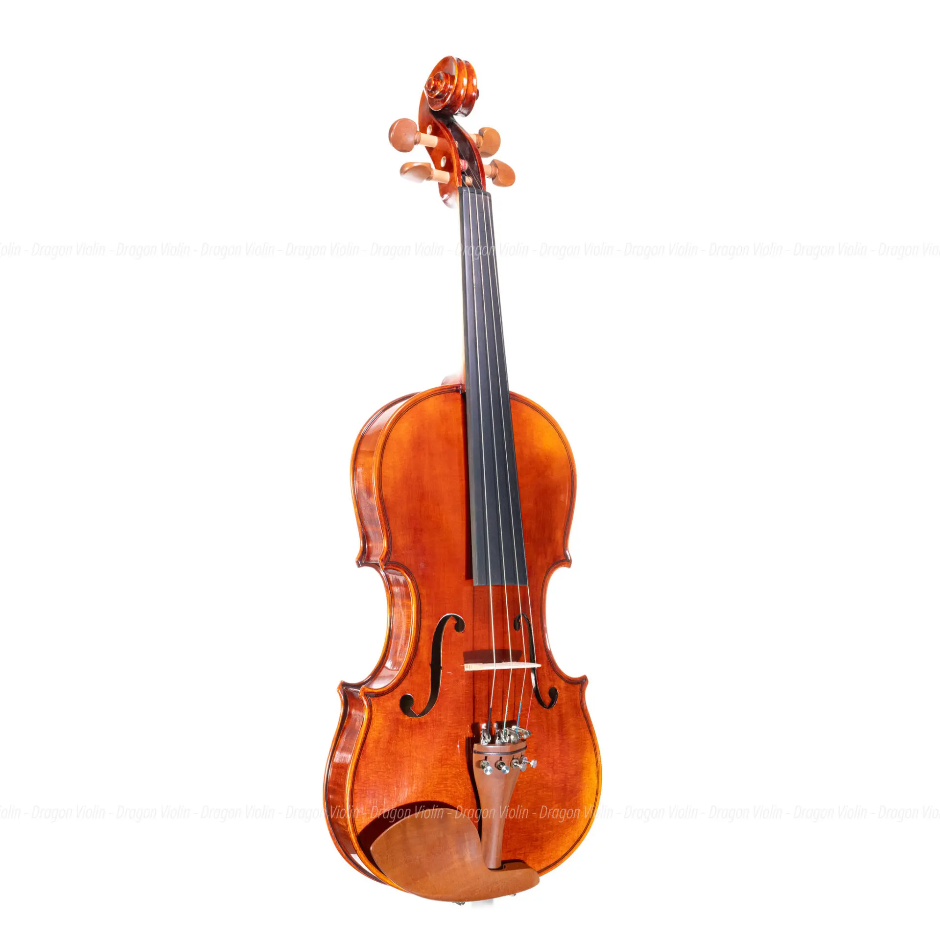 Hungarian label, Ferenc Bela Vaci CDM-R violin 2012 - Dragon Violin