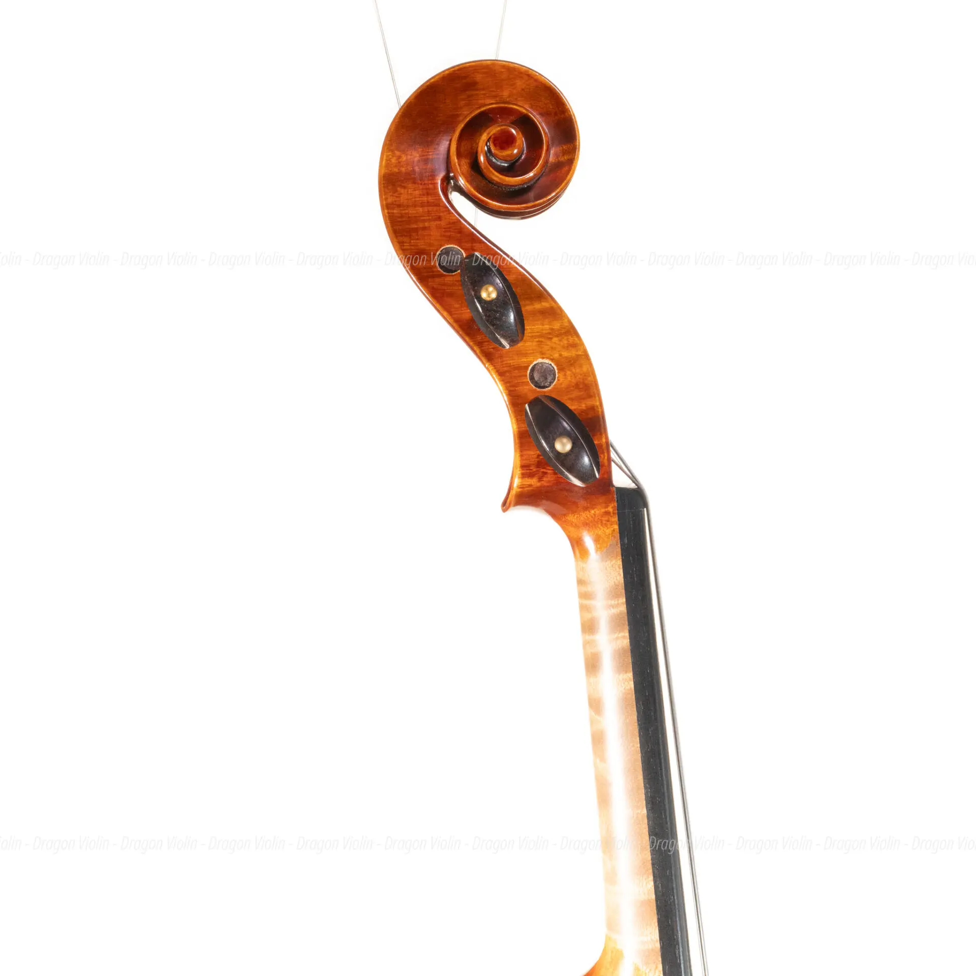 German violin, Roderich Paesold #806 2001 - Dragon Violin