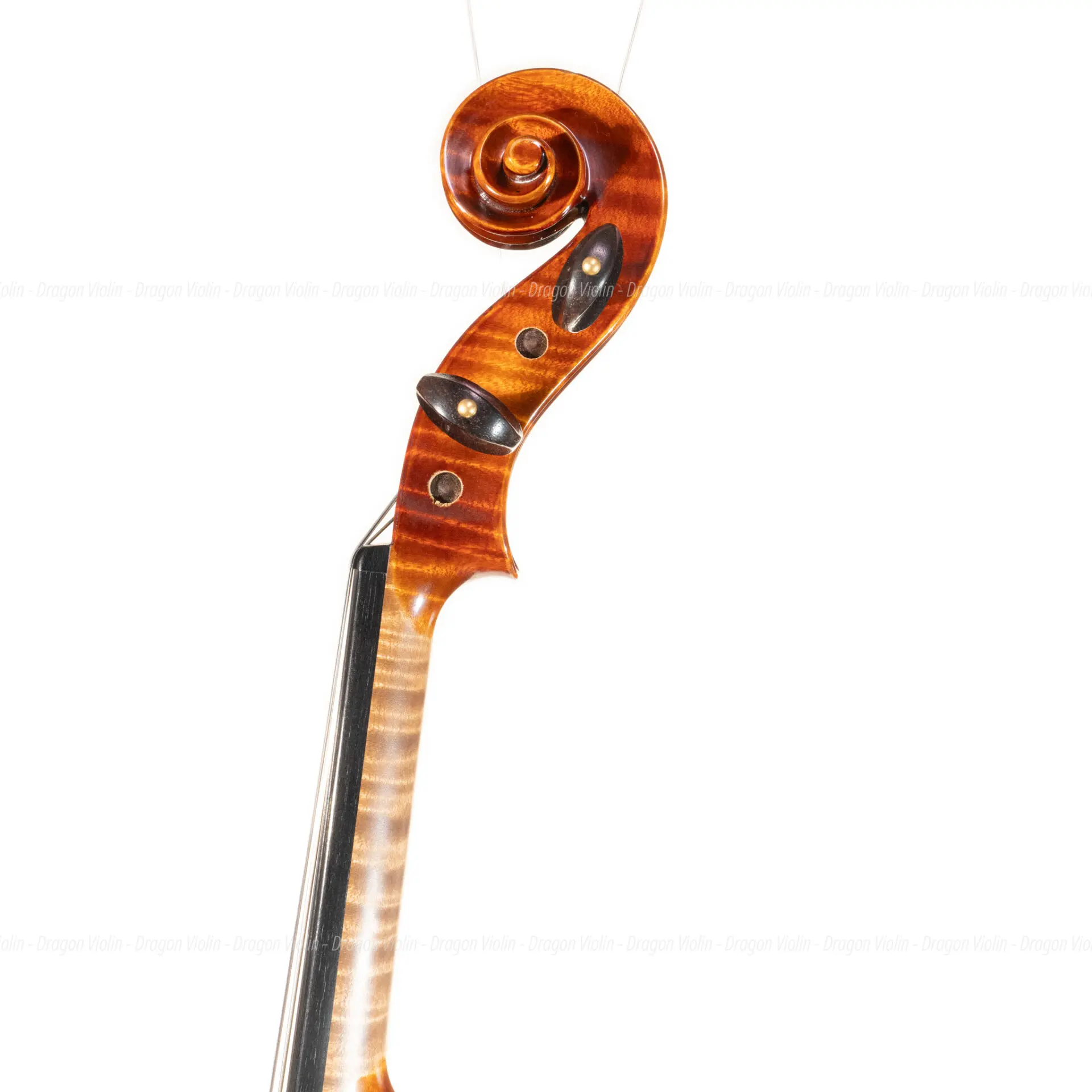 German violin, Roderich Paesold #806 2001 - Dragon Violin