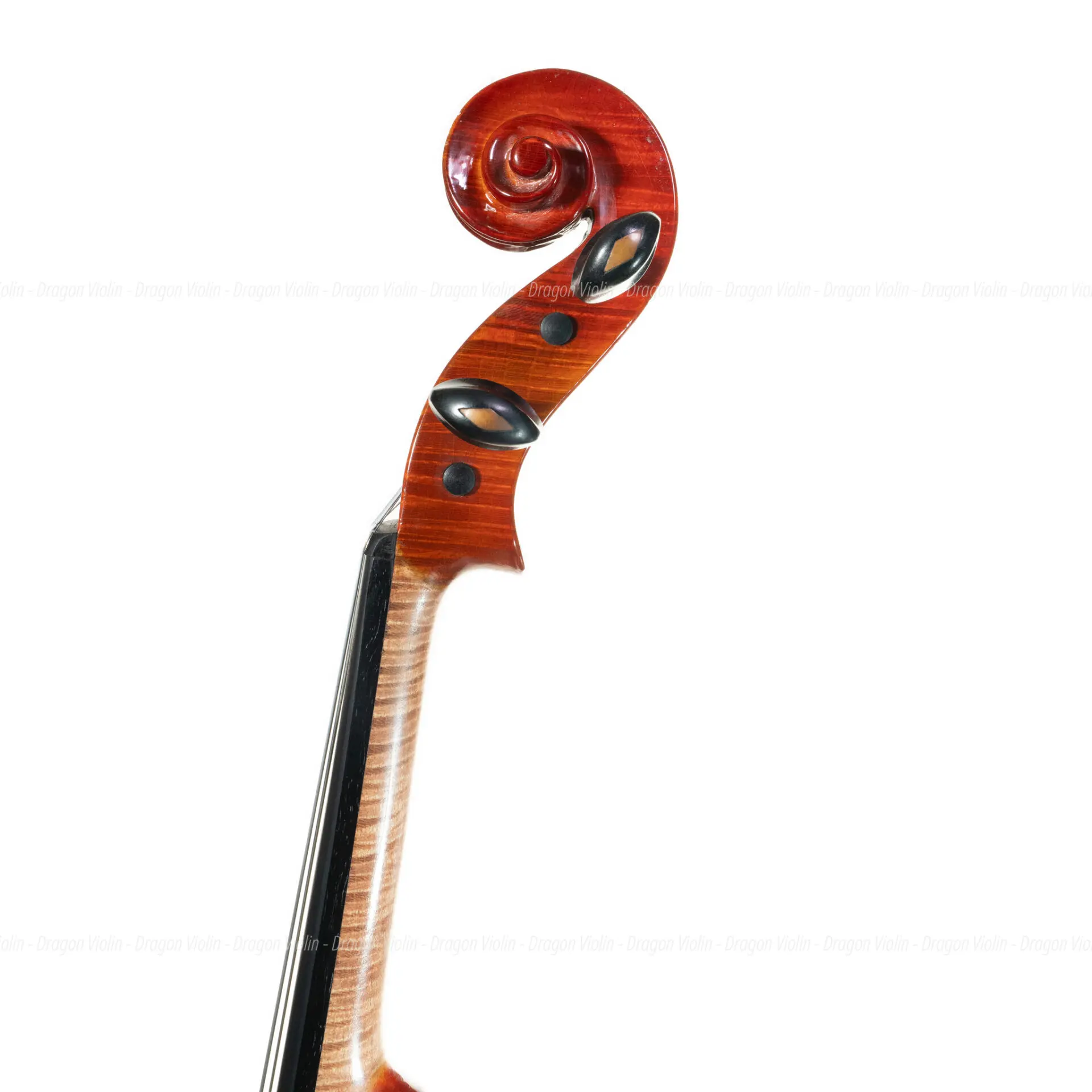 Czech violin, Harald Lorenz #8 - Dragon Violin