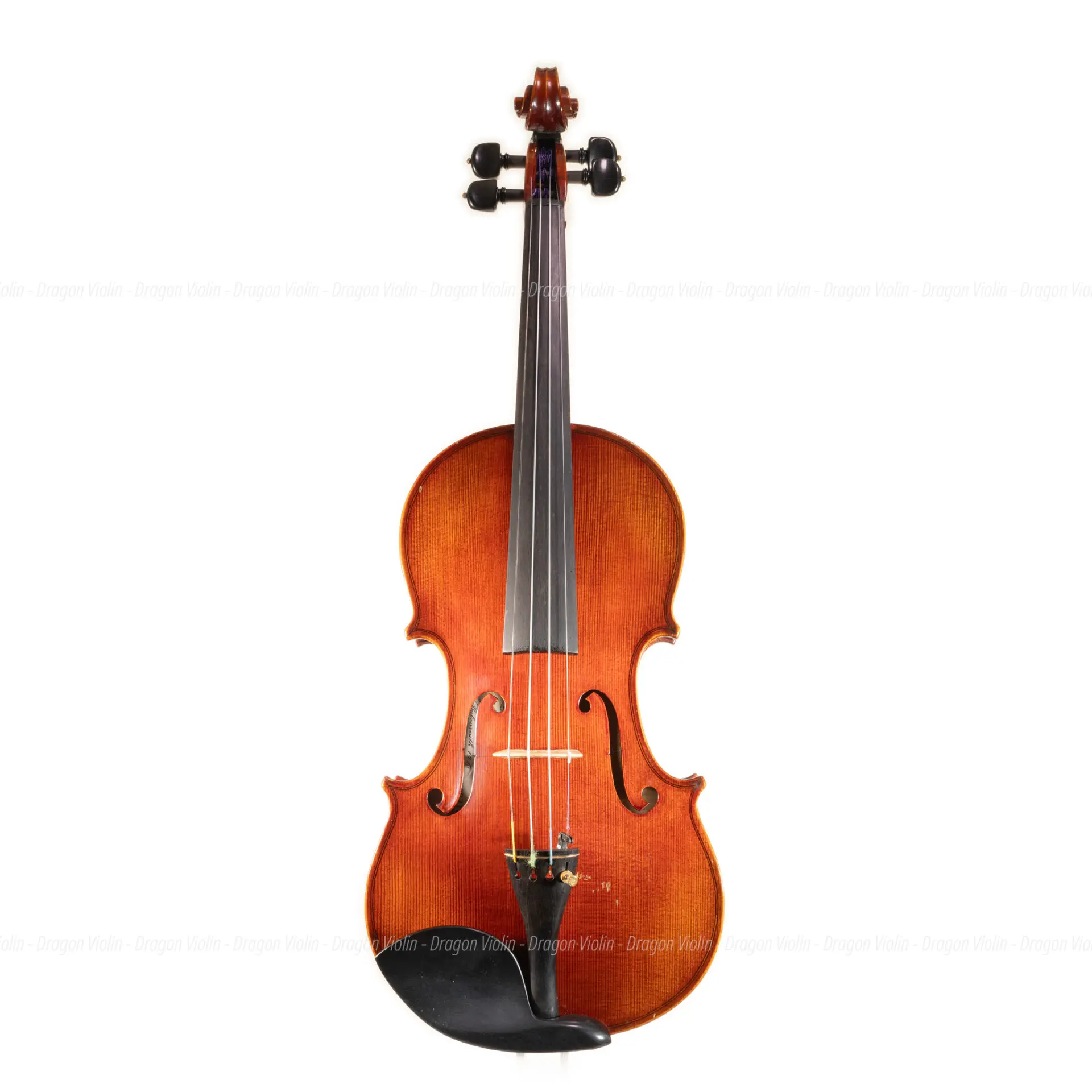 Karl Höfner バイオリン 1/2 KH200 1995年 Karl Hofner KH318 violin 1995 by Popl Otto - Dragon Violin