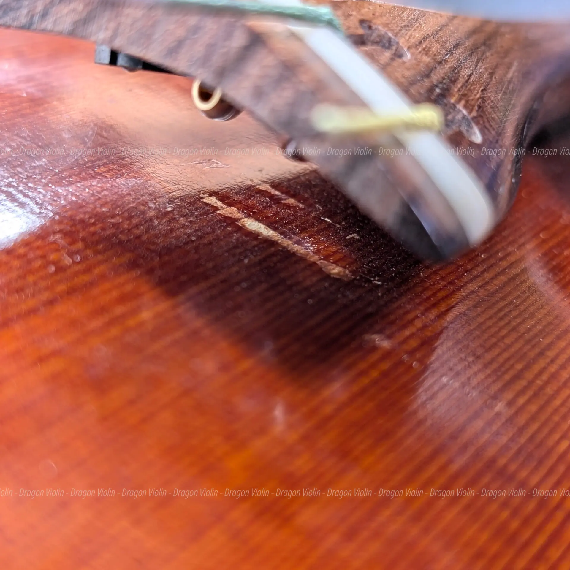 Roderich Paesold #806 violin 1993 - Dragon Violin