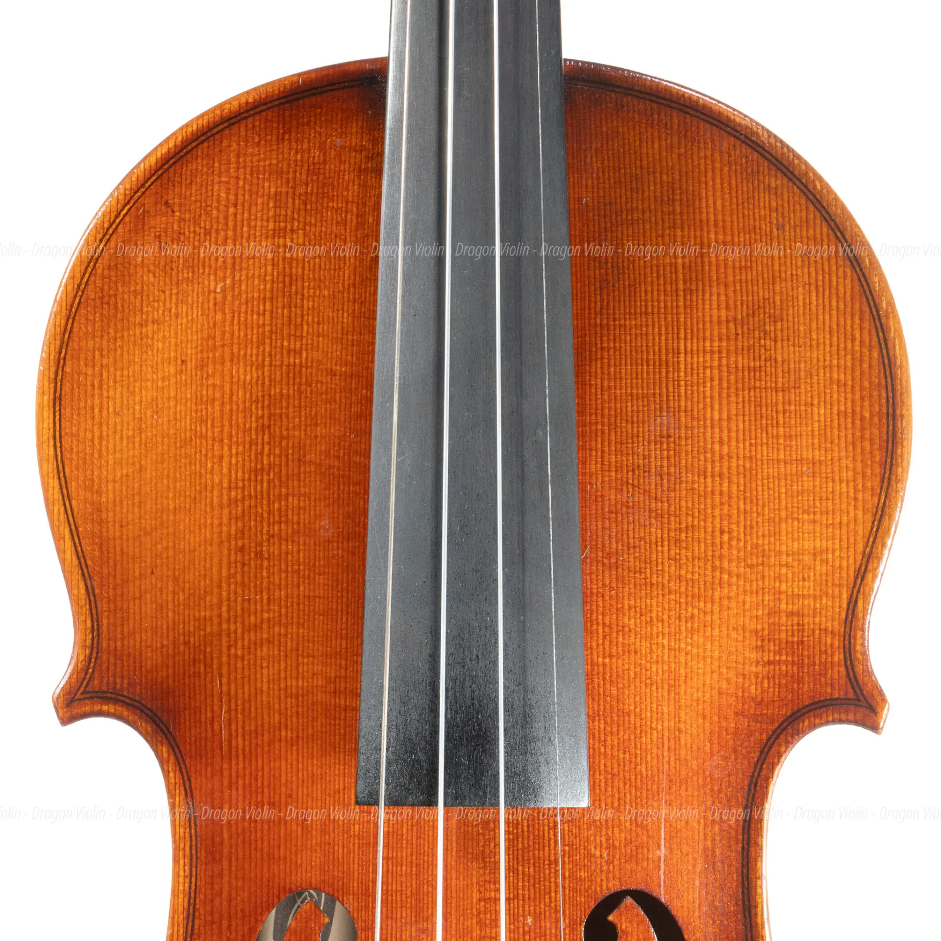Roderich Paesold #806 violin 1993 - Dragon Violin