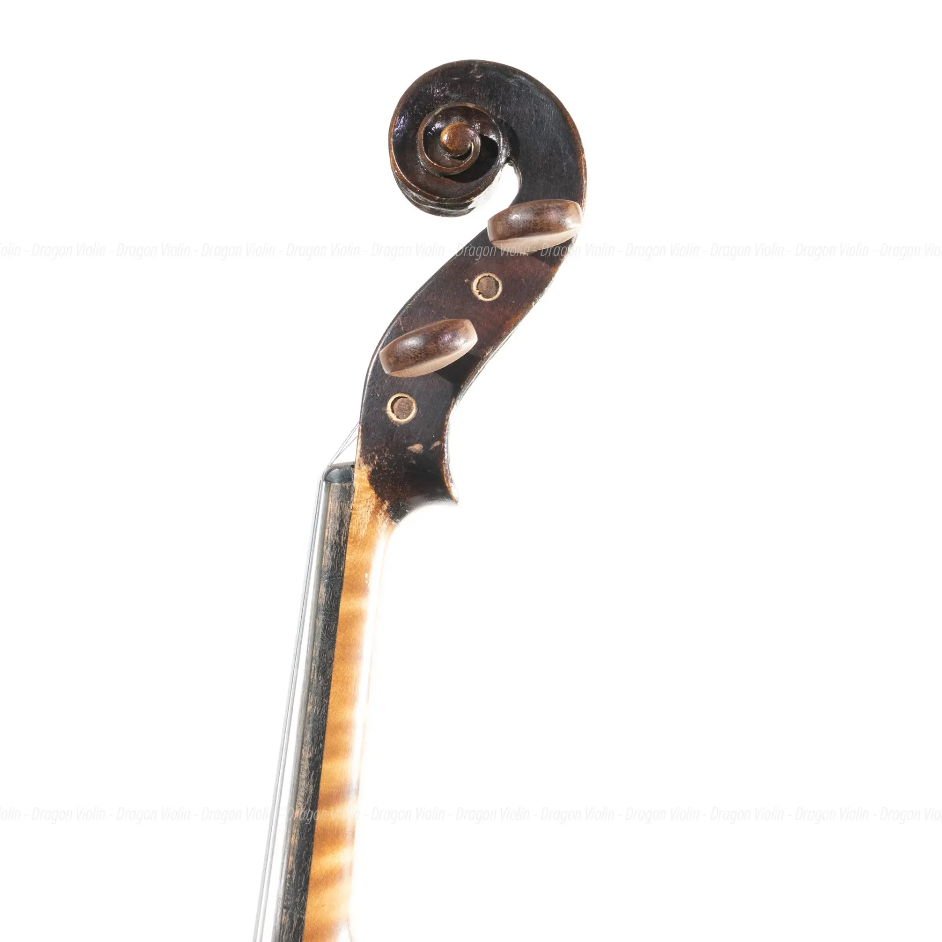 Old German label, Josef Klotz - Dragon Violin
