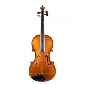 Karl Hofner - Dragon Violin