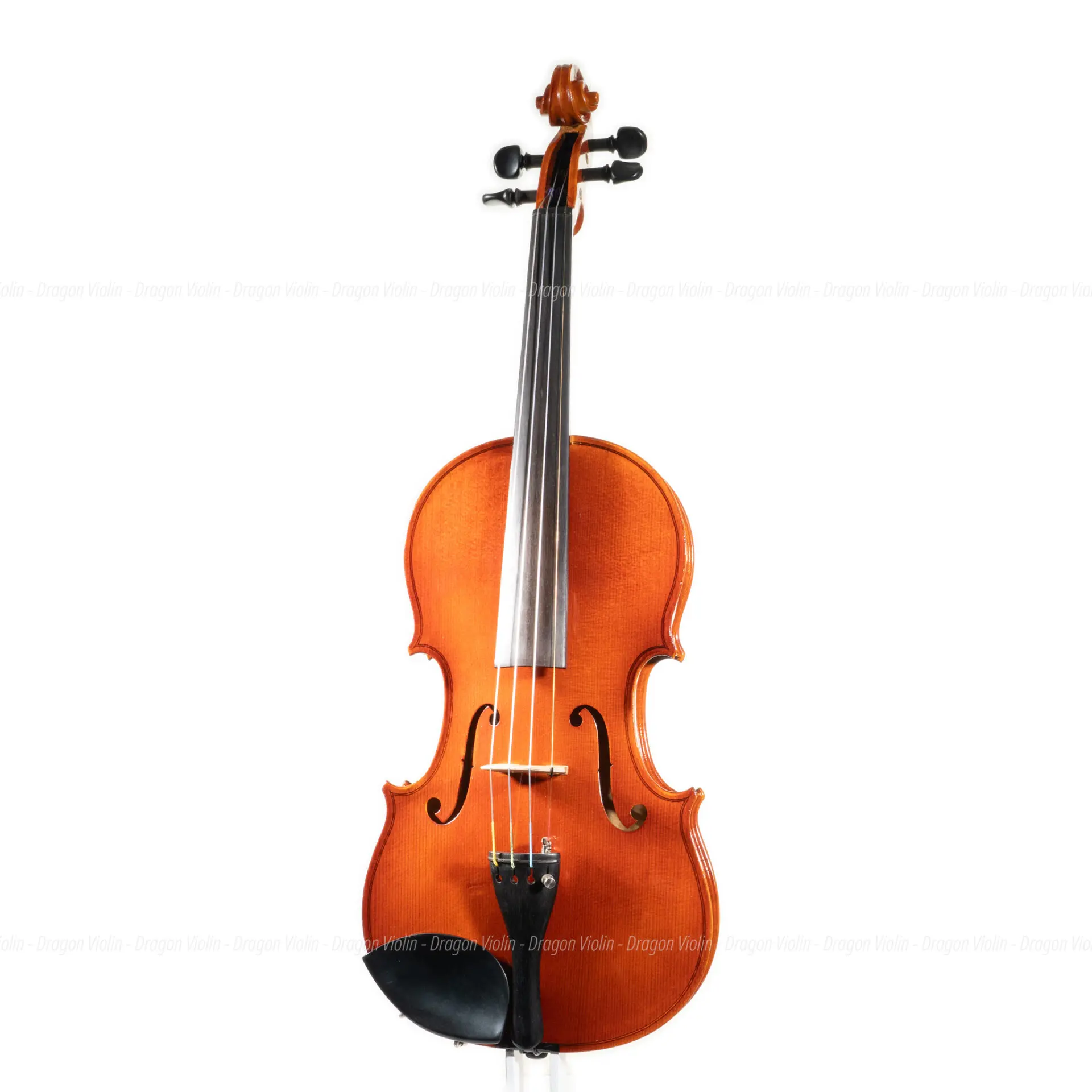 Ernst Heinrich Roth バイオリン　♯51 Ernst Heinrich Roth #51 violin 1981, Certificate - Dragon Violin