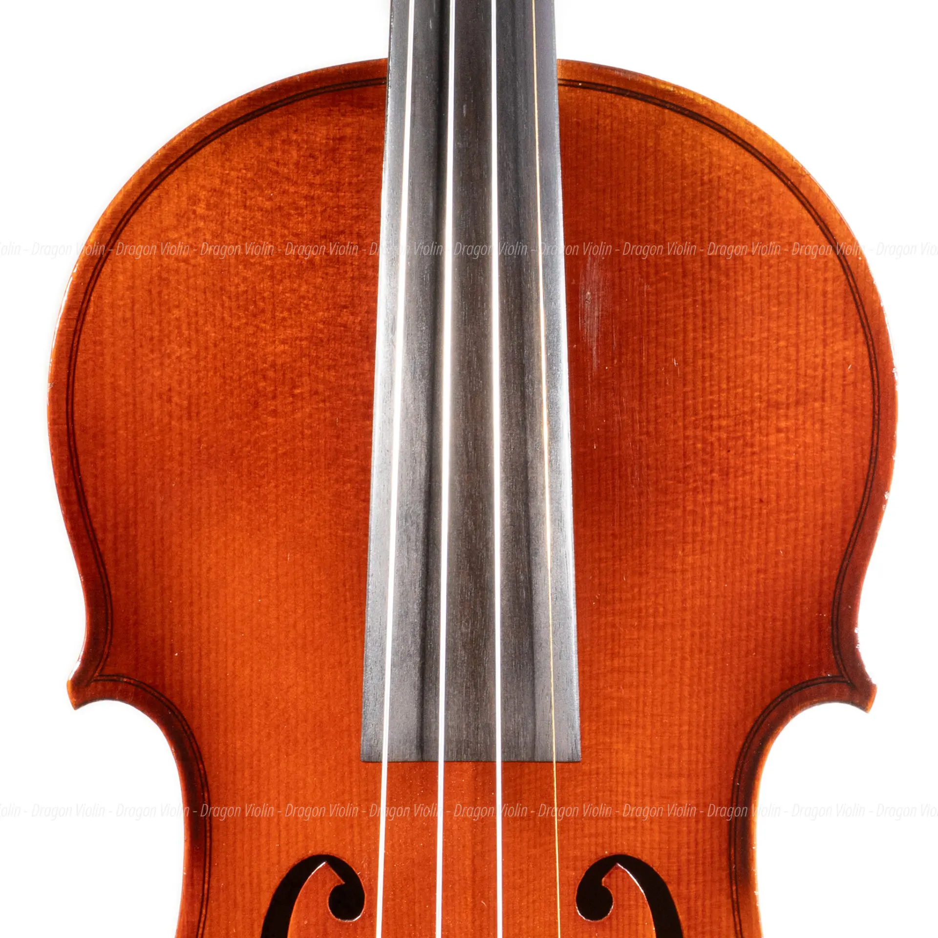 Ernst Heinrich Roth バイオリン　♯51 Ernst Heinrich Roth #51 violin 1981, Certificate - Dragon Violin
