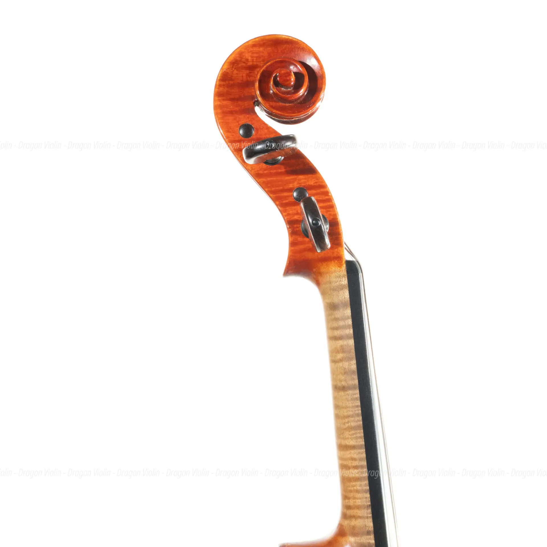 Czech violin, Josef Holpuch no.65 - Dragon Violin