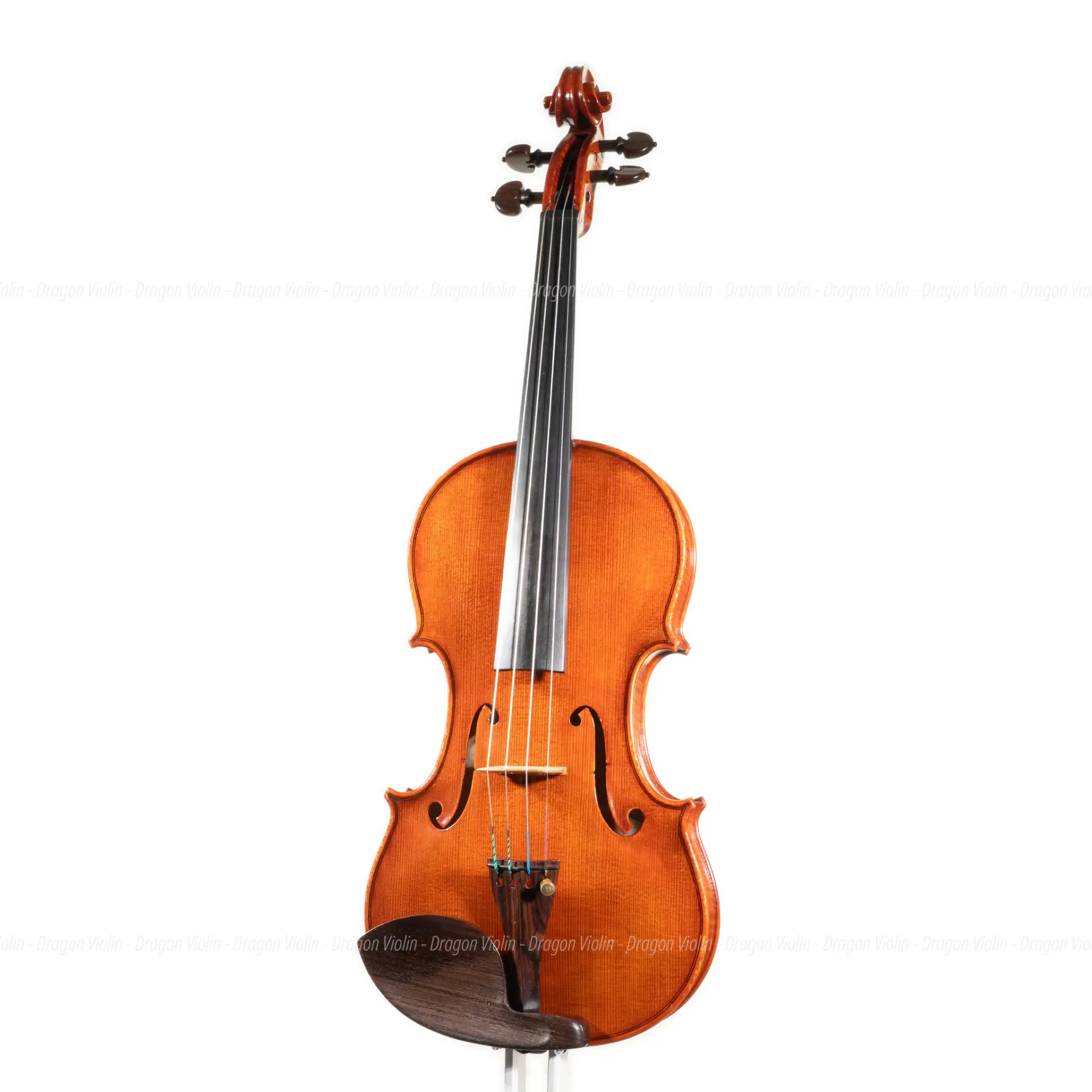 Czech violin, Josef Holpuch no.65 - Dragon Violin