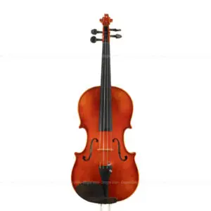Karl Hofner - Dragon Violin