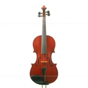 Ernst Heinrich Roth - Dragon Violin