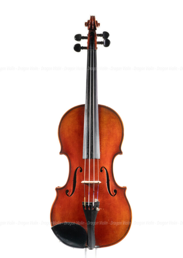 卡爾·霍夫納 小提琴 900號 - dragonviolin.com
