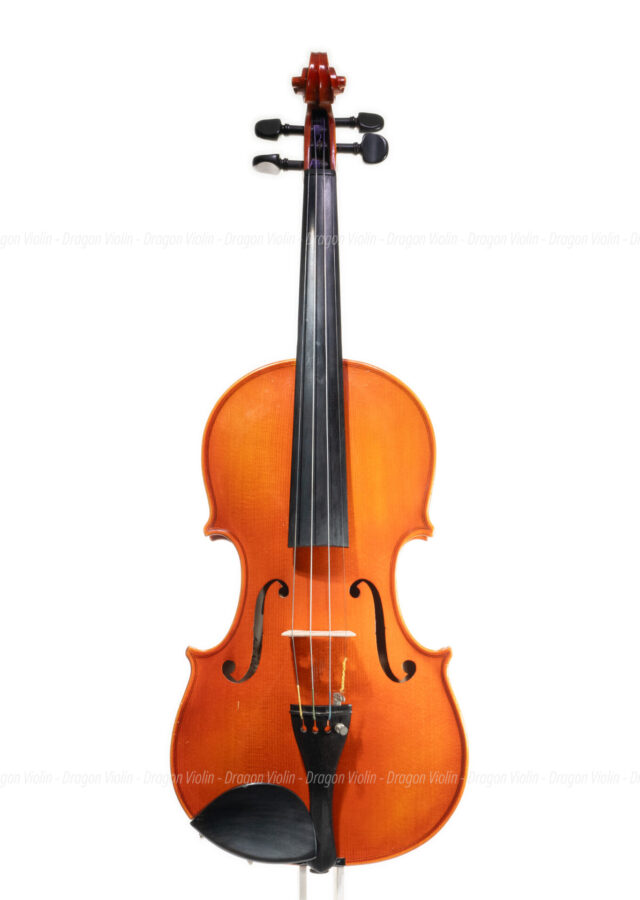 Roderich Paesold #804 violin 1989 - dragonviolin